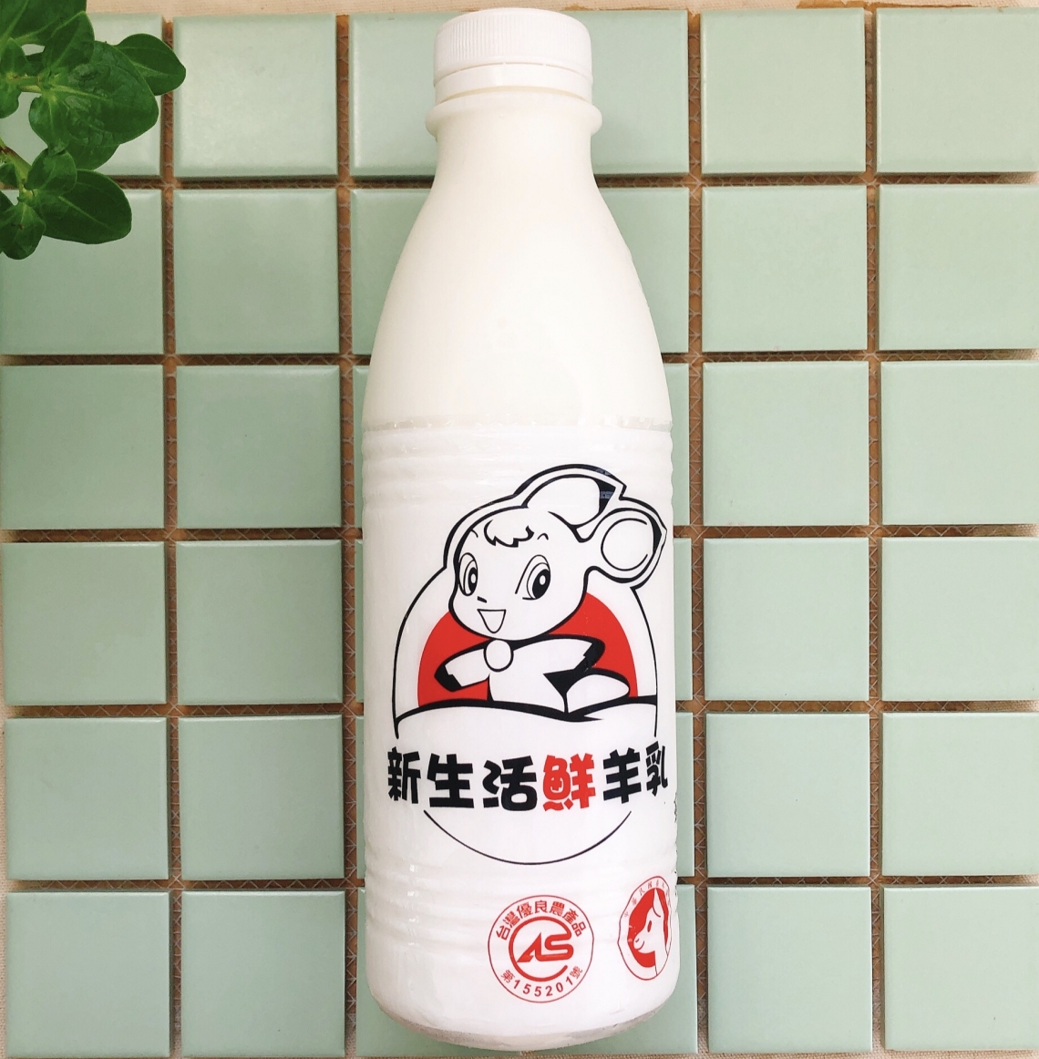新生活鮮羊乳為什麼沒有腥味?