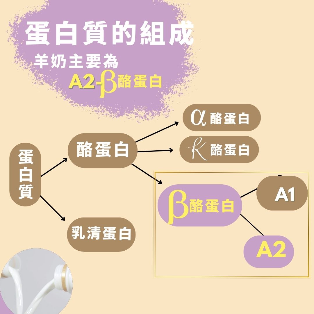 羊奶天然酪蛋白、A2B酪蛋白