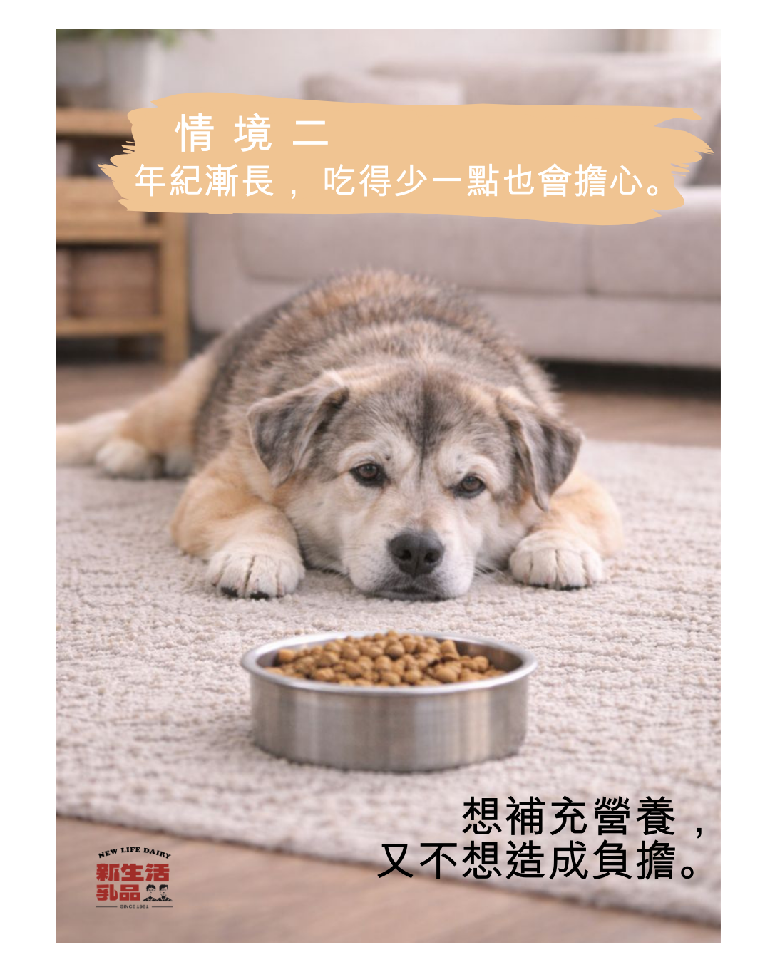 寵物羊奶